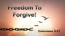 Freedom & Forgiveness